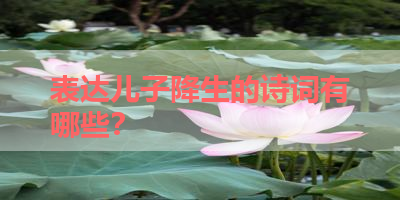 表达儿子降生的诗词有哪些？ 
