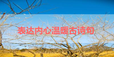 表达内心温暖古诗句 