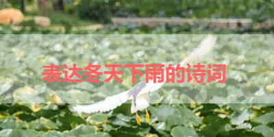 表达冬天下雨的诗词 