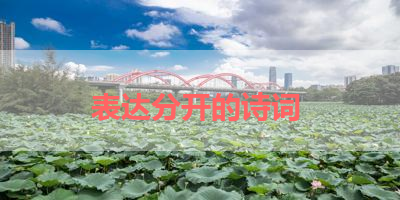 表达分开的诗词 