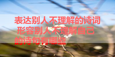 表达别人不理解的诗词 形容别人不理解自己的诗句有哪些 