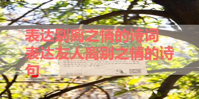 表达别离之情的诗词 表达友人离别之情的诗句 