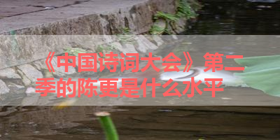 《中国诗词大会》第二季的陈更是什么水平 