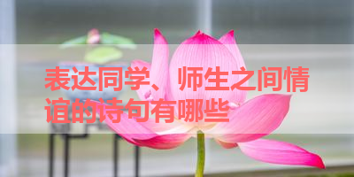 表达同学、师生之间情谊的诗句有哪些 