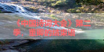 《中国诗词大会》第二季，董卿的结束语 