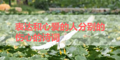 表达和心爱的人分别的伤心的诗词 