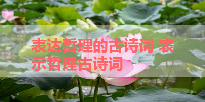 表达哲理的古诗词 表示哲理古诗词 