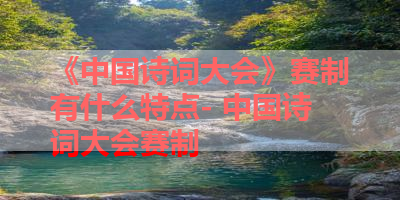 《中国诗词大会》赛制有什么特点- 中国诗词大会赛制