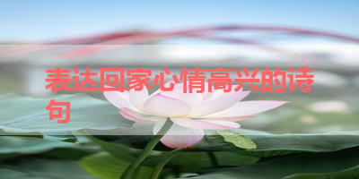 表达回家心情高兴的诗句 