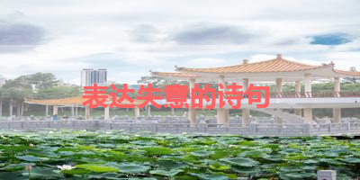 表达失意的诗句 