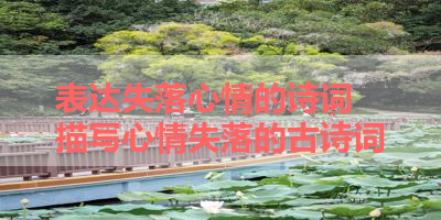 表达失落心情的诗词 描写心情失落的古诗词