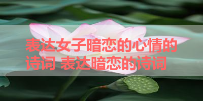 表达女子暗恋的心情的诗词 表达暗恋的诗词