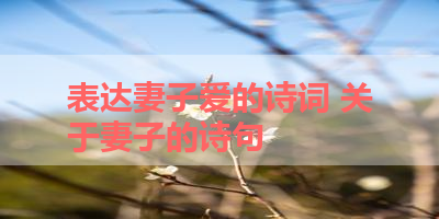 表达妻子爱的诗词 关于妻子的诗句