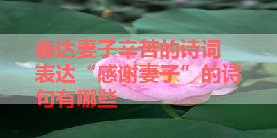 表达妻子辛苦的诗词 表达“感谢妻子”的诗句有哪些 