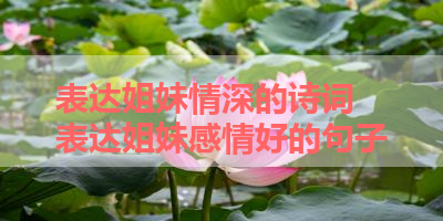 表达姐妹情深的诗词 表达姐妹感情好的句子