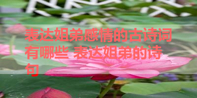 表达姐弟感情的古诗词有哪些 表达姐弟的诗句