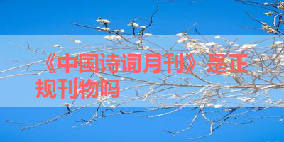 《中国诗词月刊》是正规刊物吗 