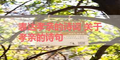表达孝亲的诗词 关于孝亲的诗句 