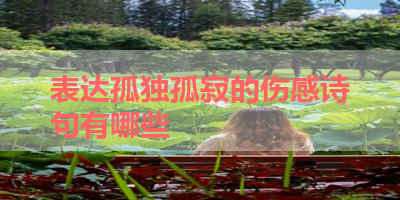 表达孤独孤寂的伤感诗句有哪些 