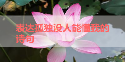 表达孤独没人能懂我的诗句 