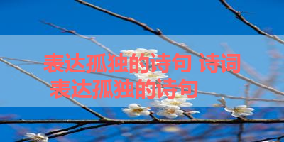 表达孤独的诗句 诗词 表达孤独的诗句