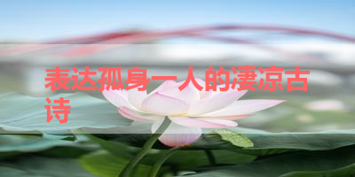 表达孤身一人的凄凉古诗 