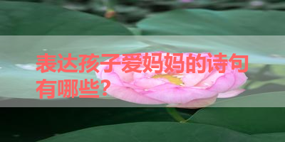 表达孩子爱妈妈的诗句有哪些？ 