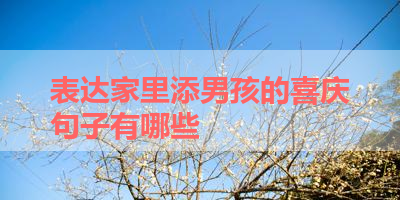 表达家里添男孩的喜庆句子有哪些 