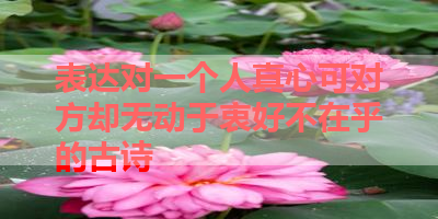 表达对一个人真心可对方却无动于衷好不在乎的古诗 