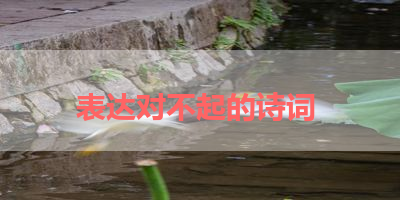 表达对不起的诗词 
