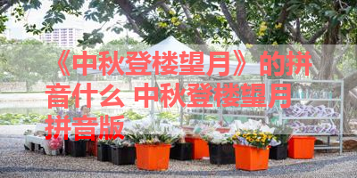 《中秋登楼望月》的拼音什么 中秋登楼望月拼音版