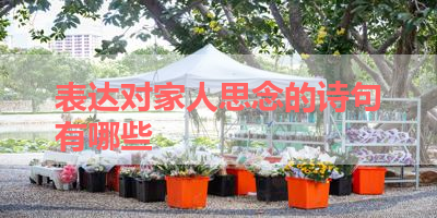 表达对家人思念的诗句有哪些 