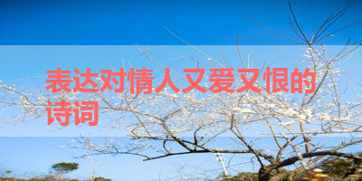 表达对情人又爱又恨的诗词 