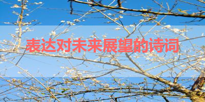 表达对未来展望的诗词 