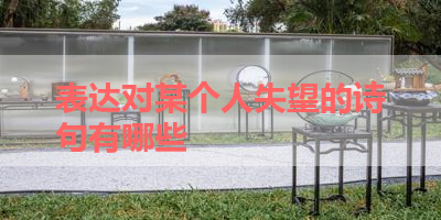 表达对某个人失望的诗句有哪些 