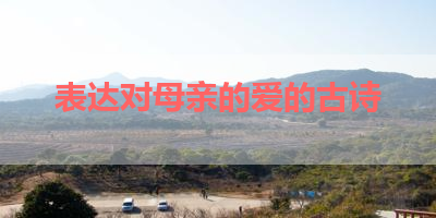 表达对母亲的爱的古诗 