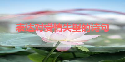 表达对爱情失望的诗句 