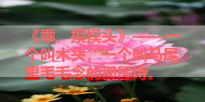《乖，摸摸头》——一个叫木头，一个叫马尾里毛毛念的那段诗。 