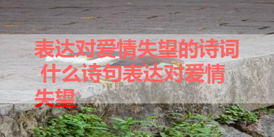 表达对爱情失望的诗词 什么诗句表达对爱情失望 