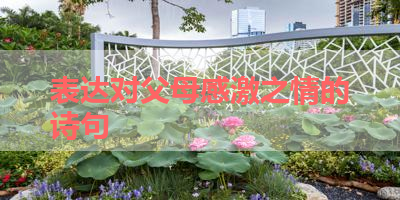 表达对父母感激之情的诗句 