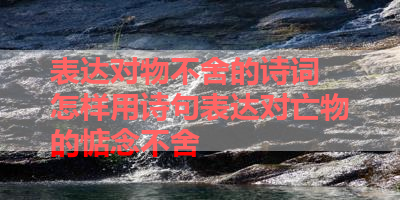 表达对物不舍的诗词 怎样用诗句表达对亡物的惦念不舍 