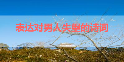 表达对男人失望的诗词 