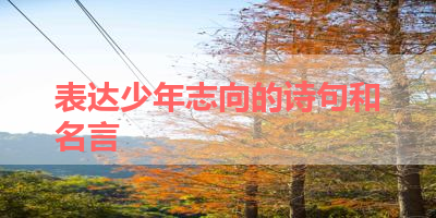 表达少年志向的诗句和名言 