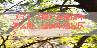 《了》《得》在诗词中怎么用，是属平还是仄？ 
