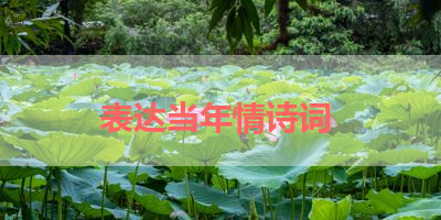 表达当年情诗词 