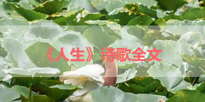 《人生》诗歌全文 