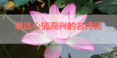 表达心情高兴的名诗词 