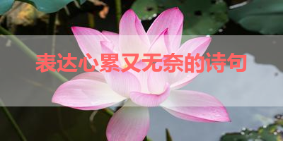 表达心累又无奈的诗句 