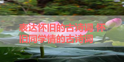 表达怀旧的古诗词 怀旧同学情的古诗词
