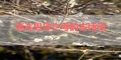 表达思念亡母的古诗词 